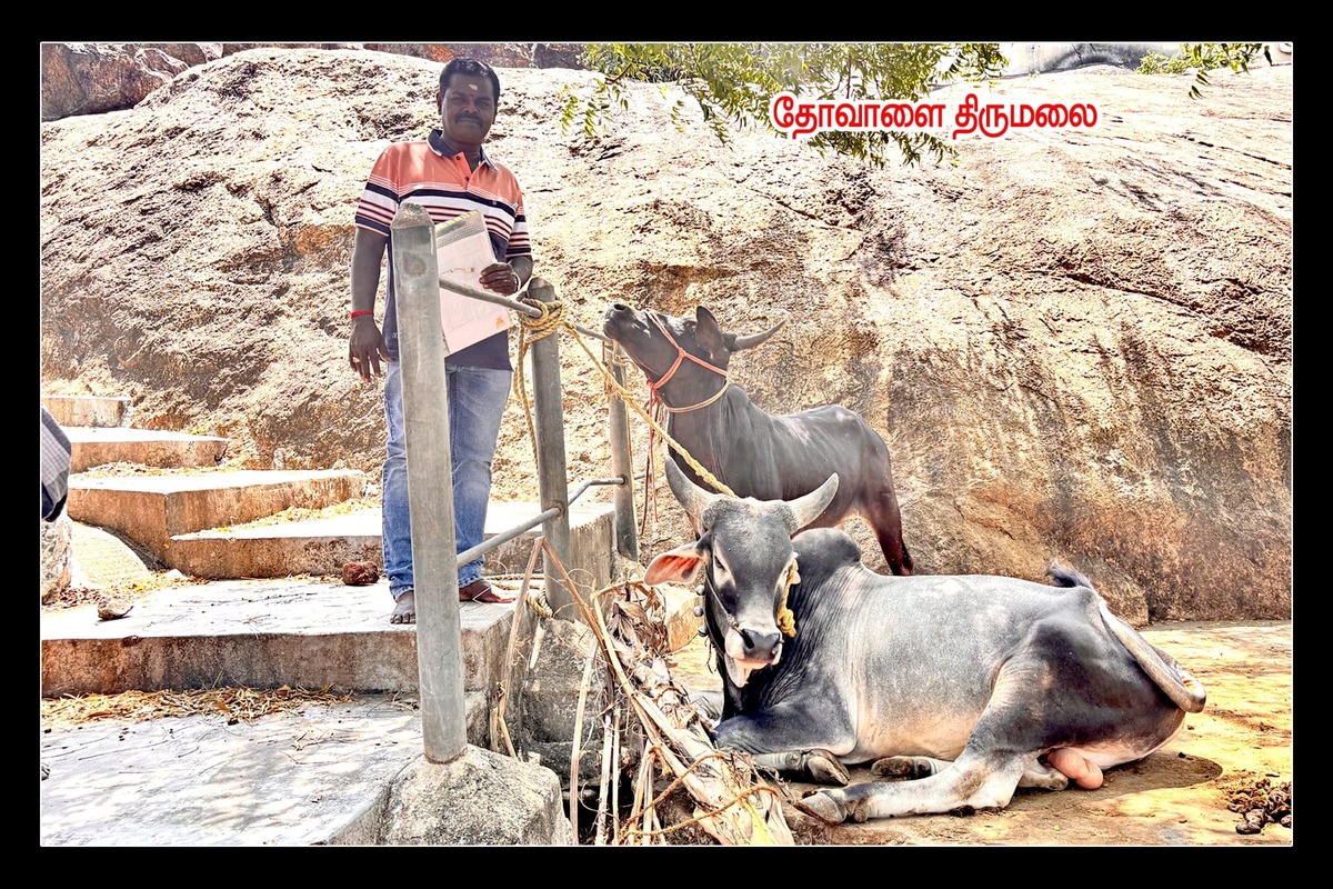 Best Couples Resorts in Paramakudi